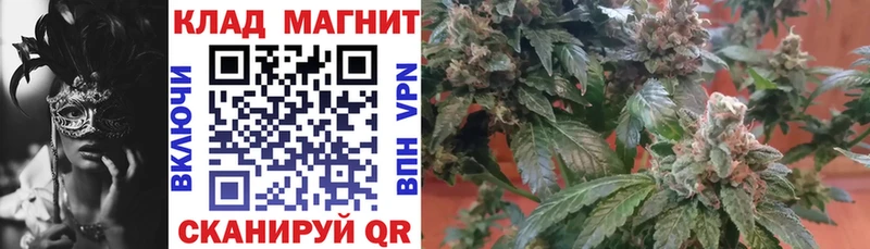 Наркота Балашов Кокаин  МЕФ  Псилоцибиновые грибы  Канабис  Гашиш  СК  Амфетамин 