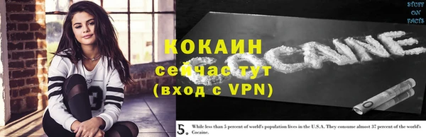 дживик Алзамай