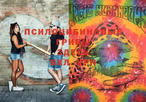 дживик Алзамай