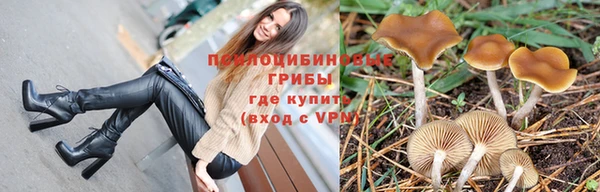 прущий лед Алексин