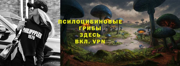 прущий лед Алексин