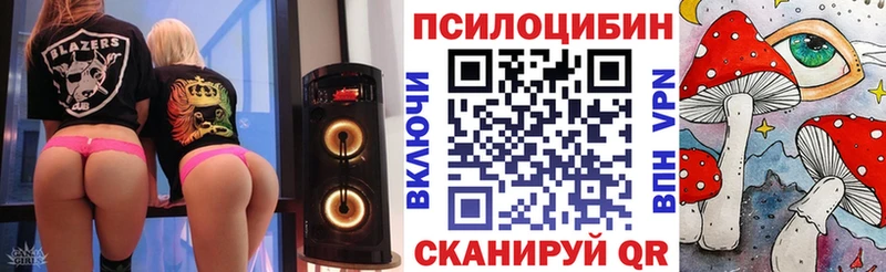 наркота  Балашов  Псилоцибиновые грибы Magic Shrooms 
