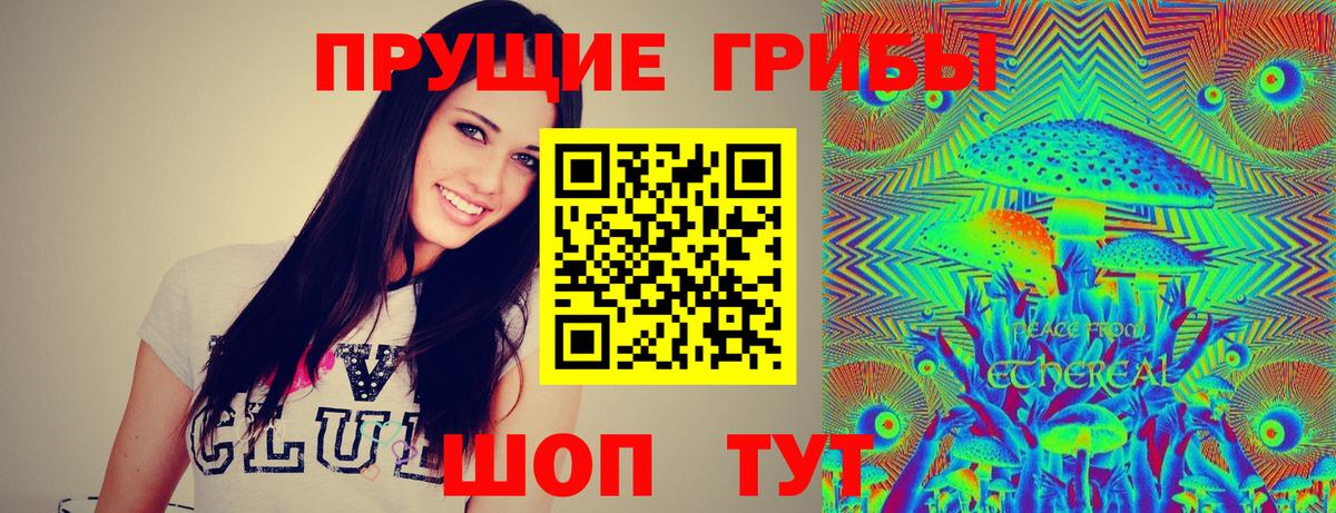 Галлюциногенные грибы ЛСД  Псилоцибиновые грибы Psilocybe  как найти   Балашов  Вход с VPN 