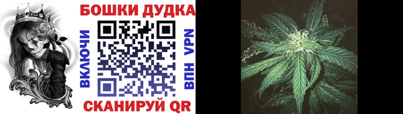 Конопля сатива  закладки  Балашов 